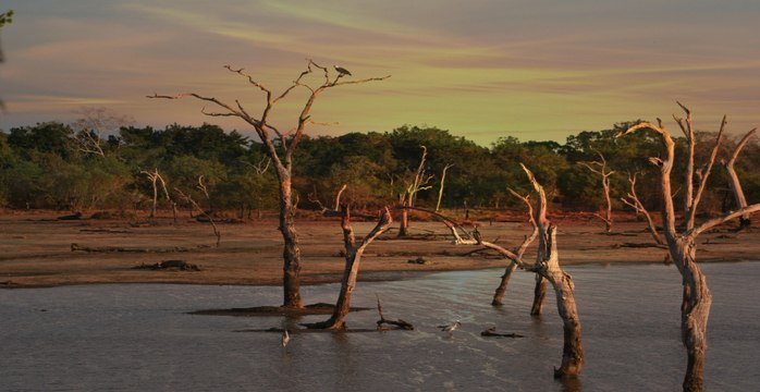 Crisis hídrica en Uruguay El desolador panorama que deja el paso de las fuertes sequías