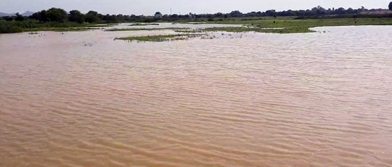 दोहरे सावन में भी अधूरी रही आस, जलसेन में नहीं हुआ पर्याप्त जल भराव