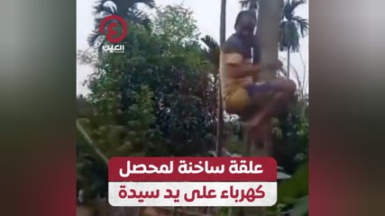 علقة ساخنة لمحصل كهرباء على يد سيدة