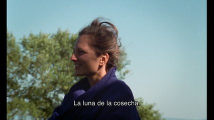 Outside Noise - Tráiler subtitulado en español