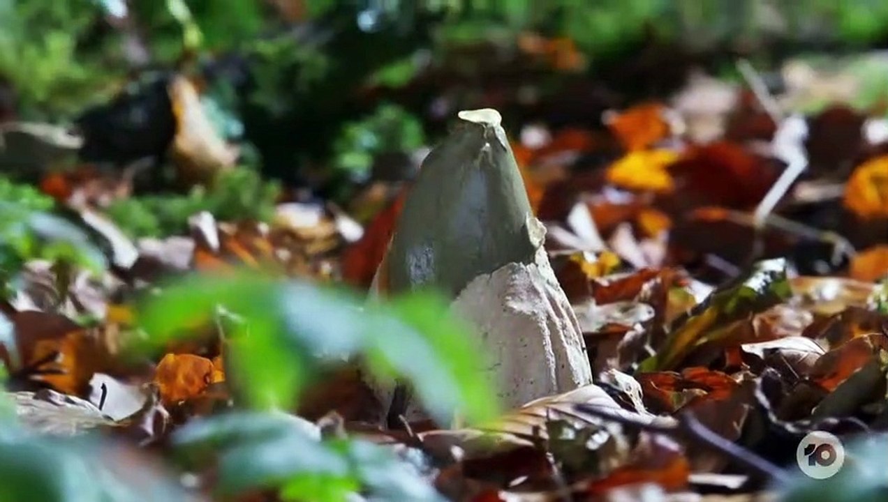 Gogglebox Australia S18E03 (2023)