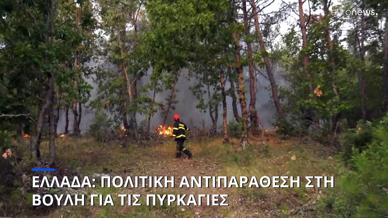 Ελλάδα: Δίχως τέλος η μάχη στα πύρινα μέτωπα- Νέο μήνυμα του 112 στους κατοίκους του Σουφλίου