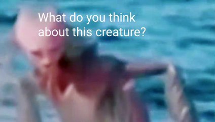 Have you seen this creature before? Of course it doesn't exist, right?