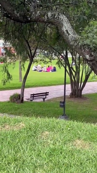 Le chien choisit une nouvelle famille