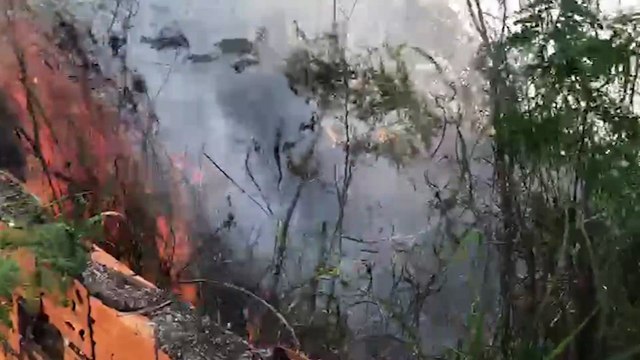 Bombeiros combatem incêndio em vegetação no Periolo