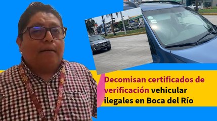 Decomisan certificados de verificación vehicular ilegales en Boca del Río