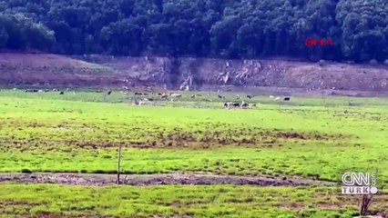 Trakya kuraklıkla boğuşuyor