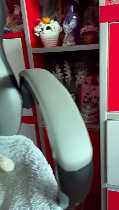 Too lazy too leave the chair, but still wanting to kill the strings