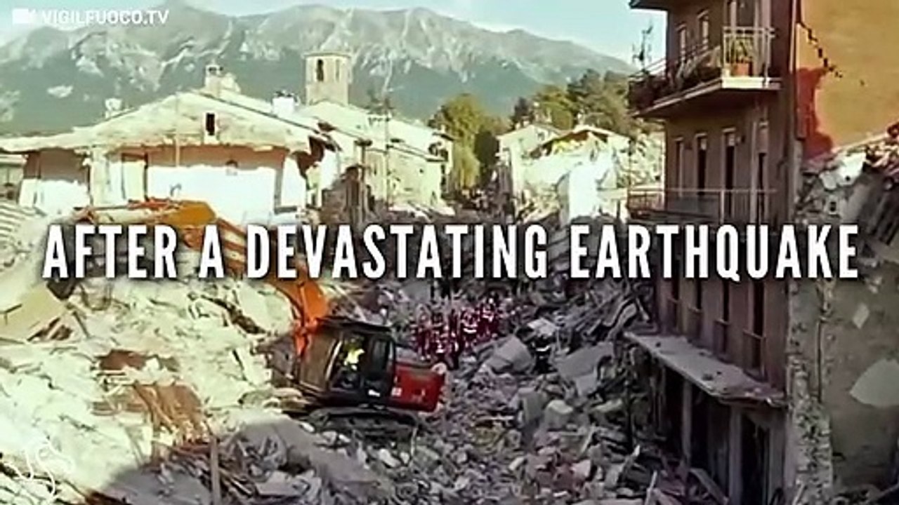 These Heroes Are Saving Animals After Italy's Devastating Earthquake