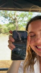 Elephant Eats Dropped Phone