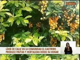 Guárico | Carlos José Culpa produce frutas y hortalizas desde su hogar