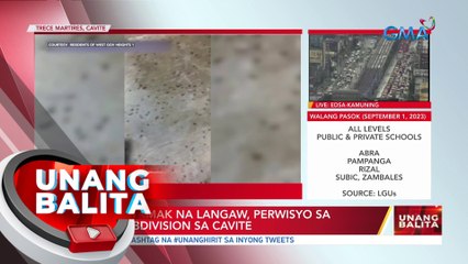 Sandamakmak na langaw, perwisyo sa isang subdivision sa Cavite | UB