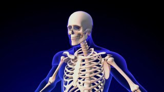 Bone Building Miracles Unveiled - Get Unbreakable Bones the Natural Way!