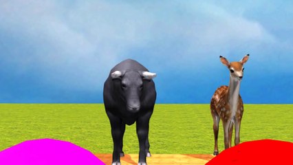 Paint & Animals Cow,Gorilla,Elephant,Lion,Tiger,Dinosaur, Fountain Crossing Transformation Cartoon