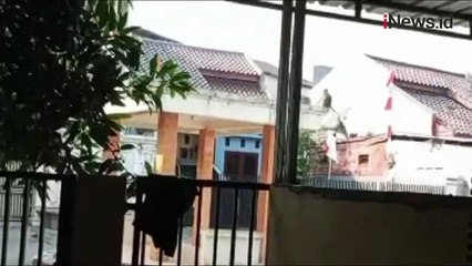 Gerombolan Monyet Masuk Permukiman di Cibubur, Diduga Kelaparan