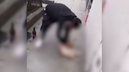 Condena histórica para hombre que agredió a perrita de raza pug de su expareja en Perú