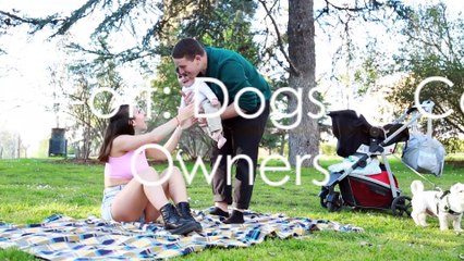 Furry Friends Face-off_ Dogs vs Cats