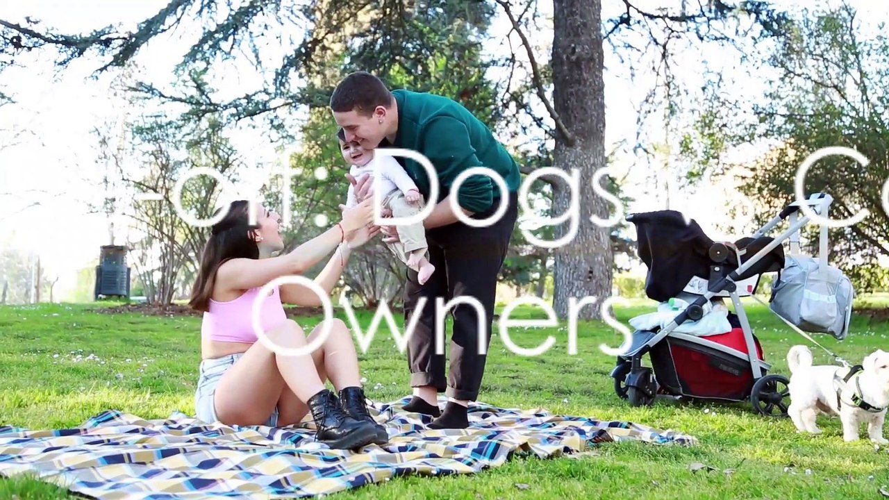 Furry Friends Face-off_ Dogs vs Cats