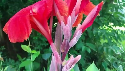 বাংলা চটি গল্প | বাংলা চোদাচুদির গল্প