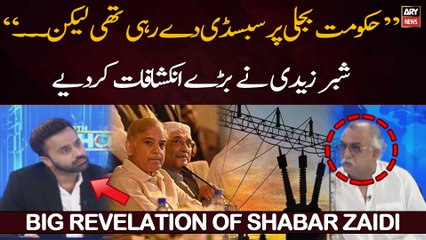 Hakumat bijli per subsidy de rahi thi, lekin.....