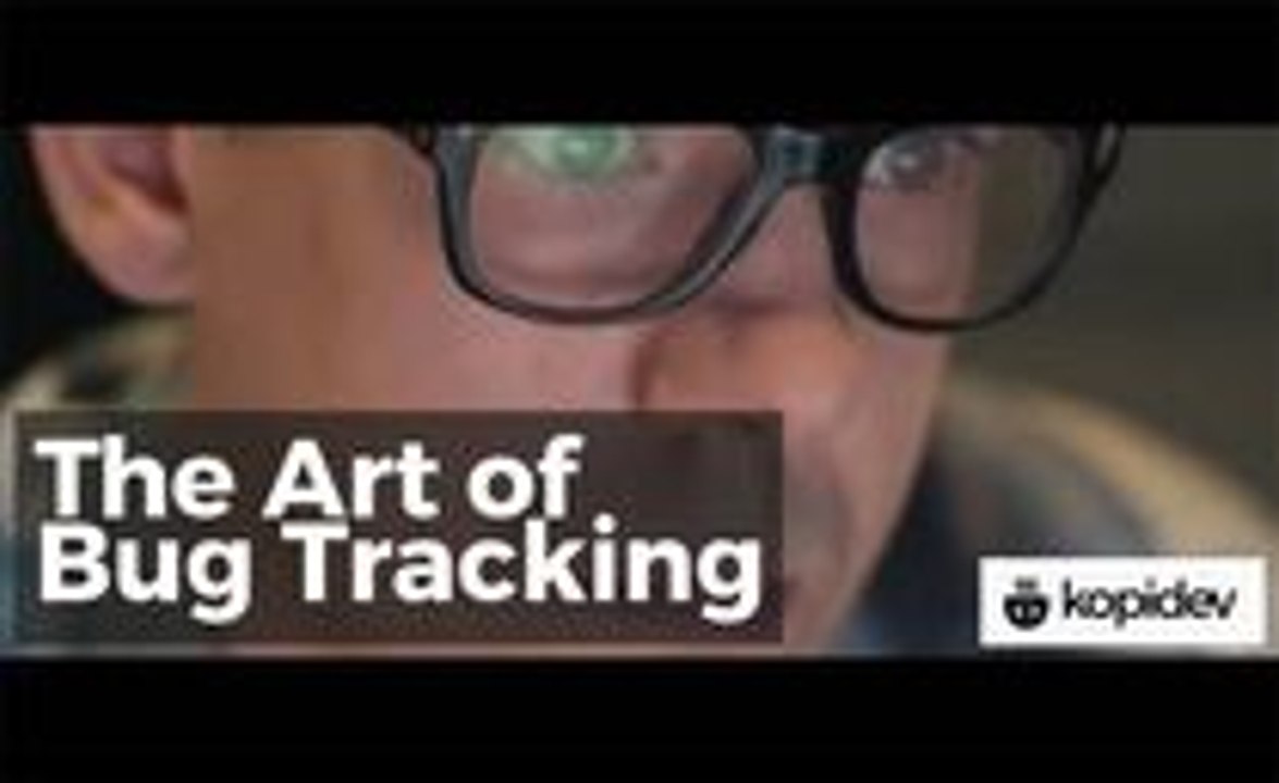 The Art of Bug Tracking by JetBrains
