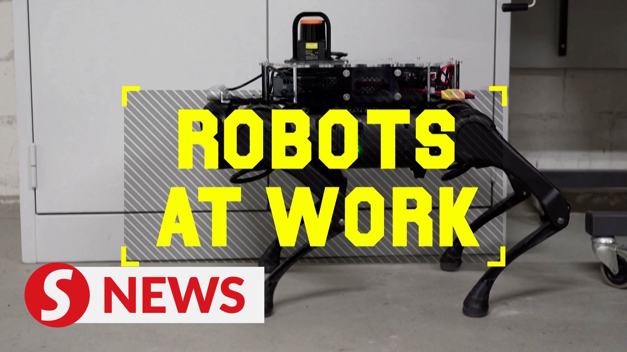 Could robots replace guide dogs for the blind? video Dailymotion