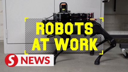 Could robots replace guide dogs for the blind?