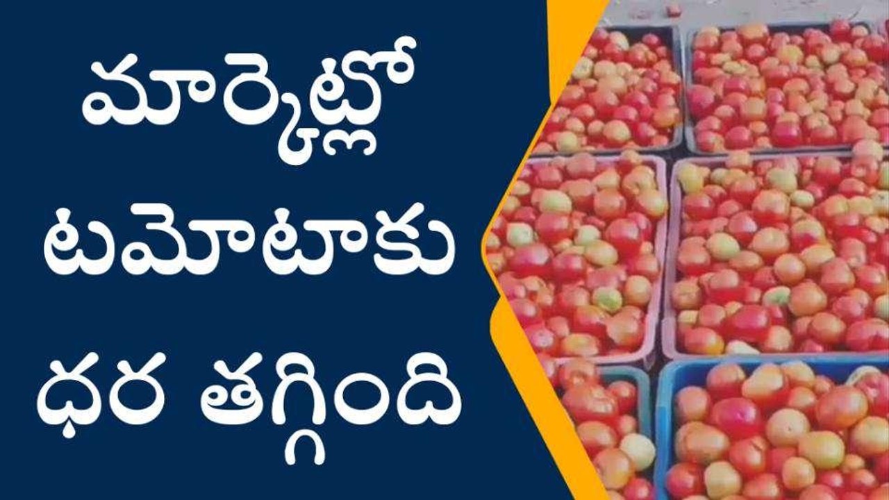 కర్నూలు జిల్లా: భారీగా తగ్గిన టమాటా ధరలు... కిలో ఎంతంటే..?