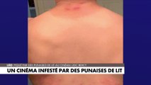 Le témoignage d'une victime de punaises de lit dans un cinéma parisien