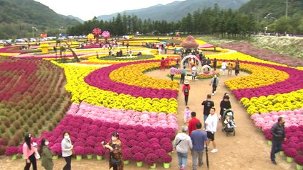 강원도 인제 내설악 가을꽃 축제 오는 22일 개막 / YTN