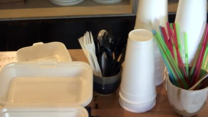 Plastic-stemmed cotton tips banned in WA, SA and QLD