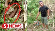 Army commando finds mortar shell just 30m away from his house in Melaka