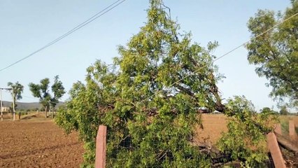 सितंबर में भी मानसून सक्रिय होने के कम आसार