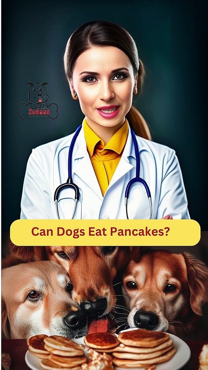 Can Dogs Eat Pancakes Video Dailymotion