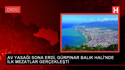 AV YASAĞI BİTTİ, GÜRPINAR BALIK HALİ'NDE İLK MEZATLAR GERÇEKLEŞTİ
