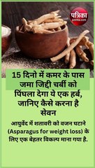 15 दिनो में कमर के पास जमा चर्बी को पिंघला देगा ये एक हर्ब, जानिए कैसे करना है सेवन