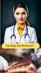 Can Dogs Eat Rib Bones