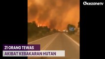 Yunani Kelabakan Atasi Kebakaran Hutan, 2 Bulan Api Belum Padam