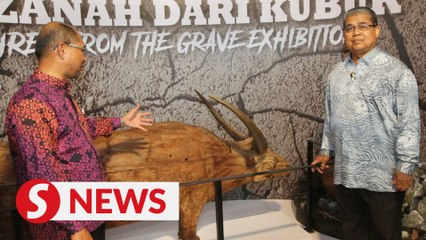 Museum Act to be proposed in Parliament soon, says Aaron