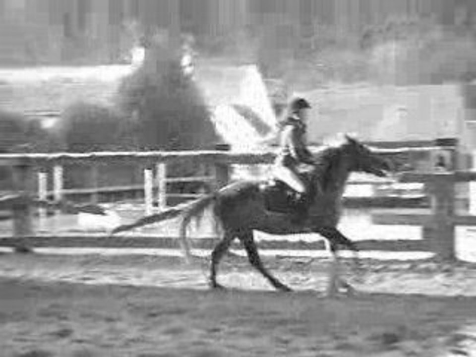 Galop