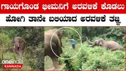 ಗಾಯಗೊಂಡ ಕಾಡಾನೆ ಭೀಮನ ದಾಳಿಗೆ ಅರವಳಿಕೆ ತಜ್ಞ ಬಲಿ: ಹಾಸನದಲ್ಲಿ ಘನಘೋರ ಘಟನೆ