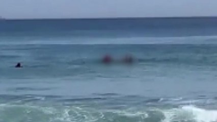 삼척해변서 표류 50대 구조..."폐장 이후 안전요원 없어 주의" / YTN