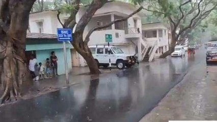 తిరుపతి జిల్లా: తిరుమలలో జోరు వాన... తడుస్తూ..