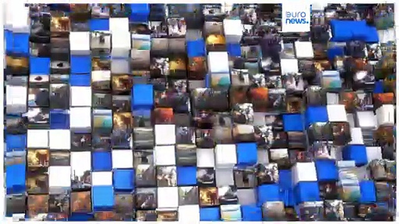 Bulle als Beifahrer im Auto auf dem Highway - diese Fotos gehen viral