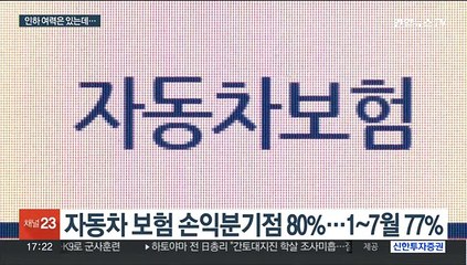 폭우에도 손보사 실적 '쑥'…자동차 보험료 또 인하?