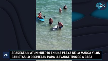 Aparece un atún muerto en una playa de La Manga y los bañistas lo despiezan para llevarse trozos a casa