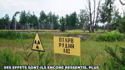 Des sangliers radioactifs impropres à la consommation détectés en Europe