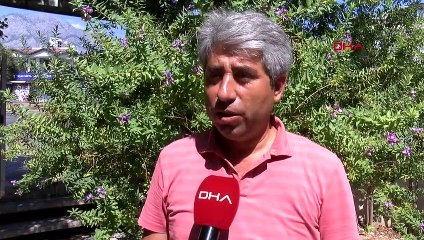 Finike'de Yavru Deniz Kaplumbağaları Araçların Altında Ezildi