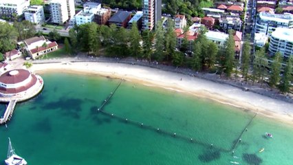 Shark nets return to NSW beaches despite opposition