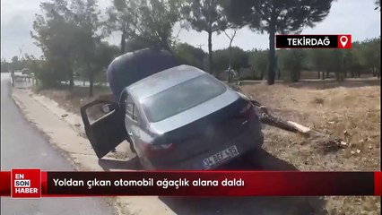 Yoldan çıkan otomobil ağaçlık alana daldı